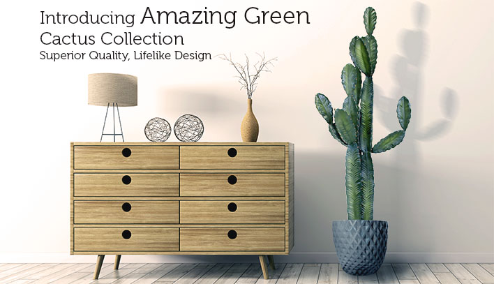 Amazing Green Cactus