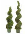 View all Topiaries