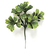 5 inch Outdoor Artificial Boxwood Pick (Set of 12)