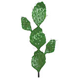 38 inch Artificial Prickly Pear Cactus