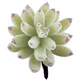 4 inch Artificial Flocked Agave Pick