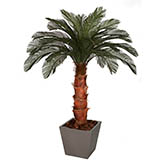 6 foot Artificial Outdoor Cycas Palm Tree: Natural Trunk & 24 Fronds