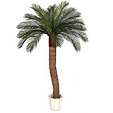 6 foot Artificial Outdoor Cycas Palm Tree: Ribbed Synthetic Trunk & 24 Fronds