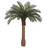 6 foot Artificial Outdoor Cycas Palm Tree: Smooth Synthetic Trunk & 24 Fronds