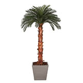 9 foot Artificial Outdoor Cycas Palm Tree: Natural Trunk & 36 Fronds
