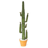 7 foot Artificial Saguaro Cactus: Unpotted