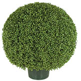 30 inch Outdoor Plastic Boxwood Ball: Limited UV