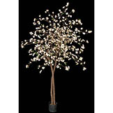 6.5 foot Cherry Blossom Tree with Natural Trunks: Potted