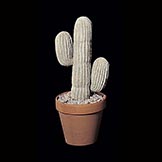 15 inch Artificial Mexican Cactus