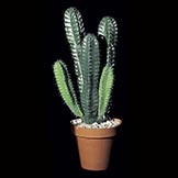 26 inch Artificial Column Cactus