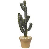 28 inch Natural Touch Column Cactus