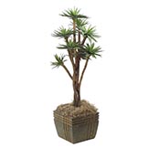 36 inch Soft Touch Agave Tree: Potted