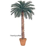6 foot Artificial Outdoor Cycas Palm with 36 Fronds and Natural Trunk