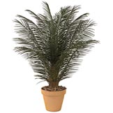 5 foot Outdoor Artificial Phoenix Palm Cluster with 18 Fronds