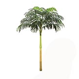 15 foot Artificial Coconut Palm with Fiberglass Trunk