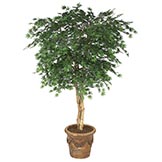 6 foot Outdoor Artificial Japanese Maple Tree with Natural Trunks: Multiple Colors