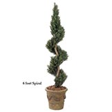 6 foot Outdoor Artificial Podocarpus Spiral Topiary
