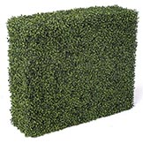 30 x 36 x 12 inch 5 sided Boxwood Hedge