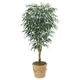 8 foot Artificial Ficus Alii Tree: Potted