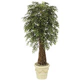 9 foot Smilax Tree: Potted