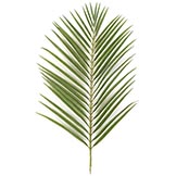 36 inch Areca Palm Branch (Set of 12)