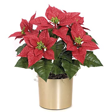 Outdoor Plastic Poinsettia Bush: Set of (6) Unpotted