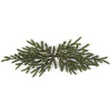 32 Inch Pine Swag: Set of (6)