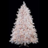 7.5 Foot Full White Jack Pine Christmas Tree:  Clear Lights