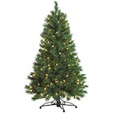 4 Foot Scotch Pine Christmas Tree: Clear Lights