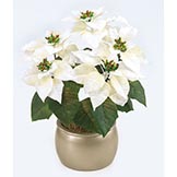 18 inch Poinsettia Bush with White Flowers: Set of (12)