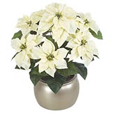 24 inch Poinsettia Bush with Cream Flowers: Set of (6)