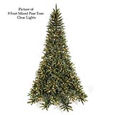 Mixed Pine Tree