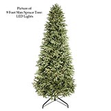 9 foot PE/PVC Slim Spruce Tree: Clear LEDs
