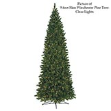 Slim Winchester Pine Tree