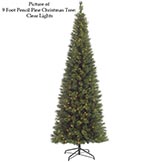 6 foot Pencil Pine Christmas Tree: Clear Lights