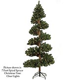 Spiral Spruce Tree