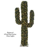 Pine Cactus