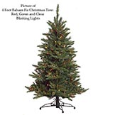 Balsam Fir Tree