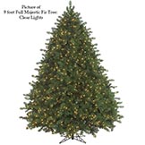 Full Majestic Fir Tree