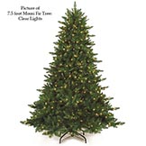 Full Momi Fir Tree