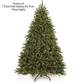 Full Alaskan Fir Tree