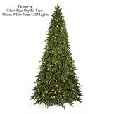 Sky Fir Tree