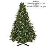 Fluff Free Full Balsam Fir Tree