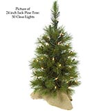 24 inch Jack Pine Christmas Tree in Burlap Base: Unlit (Set of 3)