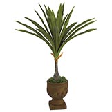 56 inch Artificial Large Leaf Dragon Tree: Potted