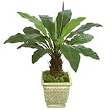 51 inch Artificial Anthurium Plant: Potted