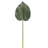 31 inch Artificial Philodendron Leaf (Set of 24)