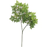 22 inch Artificial Ming Aralia Branch (Set of 12)