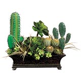 Cactus, Succulent, and Echeveria in Planter