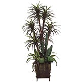 Cactus, Yucca, and Agave in Decorative Planter